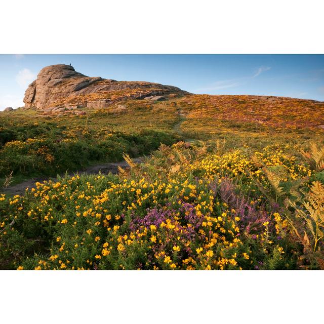 Haytor on Dartmoor von Moorefam - Kunstdrucke auf Leinwand 17 Stories Größe: 81 cm H x 122 cm B x 3,8 cm T on Productcaster.