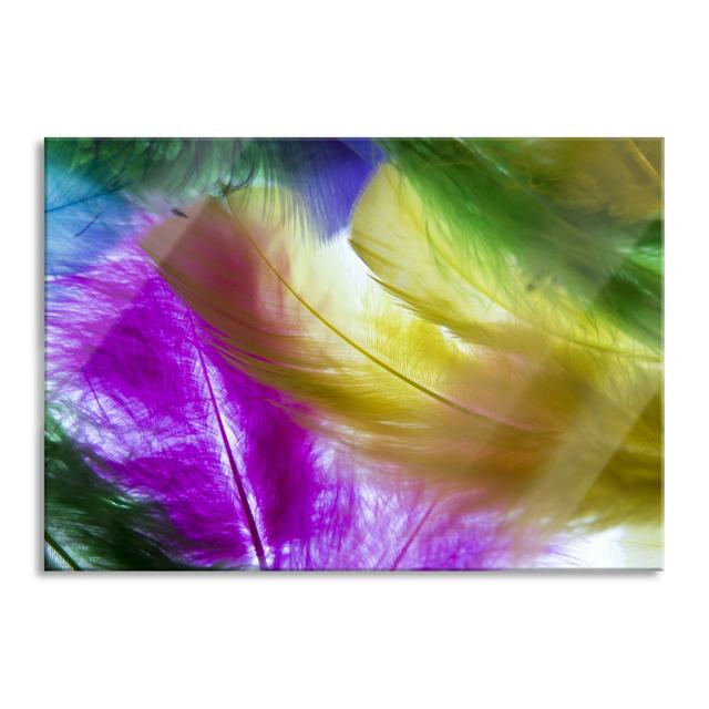 Glasbild "Colourful Feathers" Bloomsbury Market Größe: 70 cm H x 100 cm B x 0,4 cm T on Productcaster.