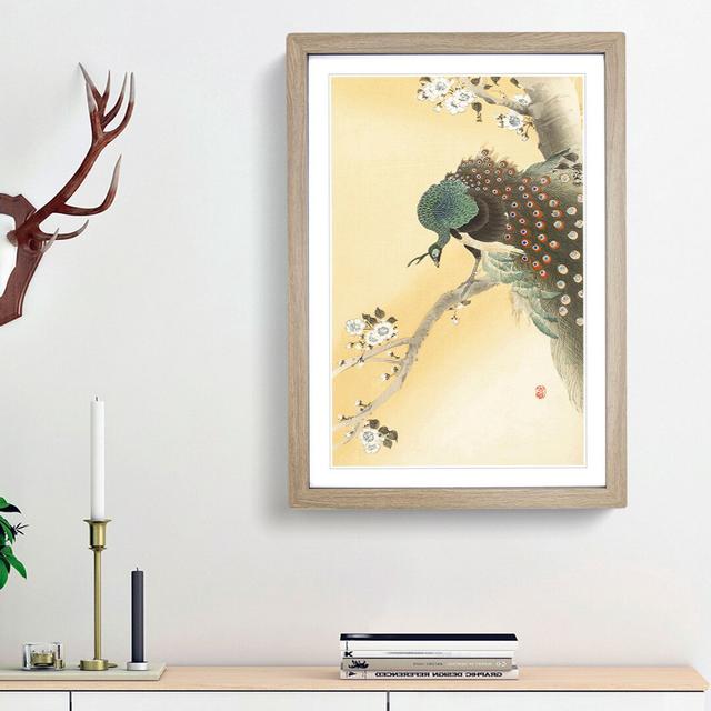 Peacock on a Cherry Blossom Tree by Ohara Koson - Picture Frame Painting Print East Urban Home Size: 36cm H x 27cm W x 2cm D, Frame Option: Oak Framed on Productcaster.