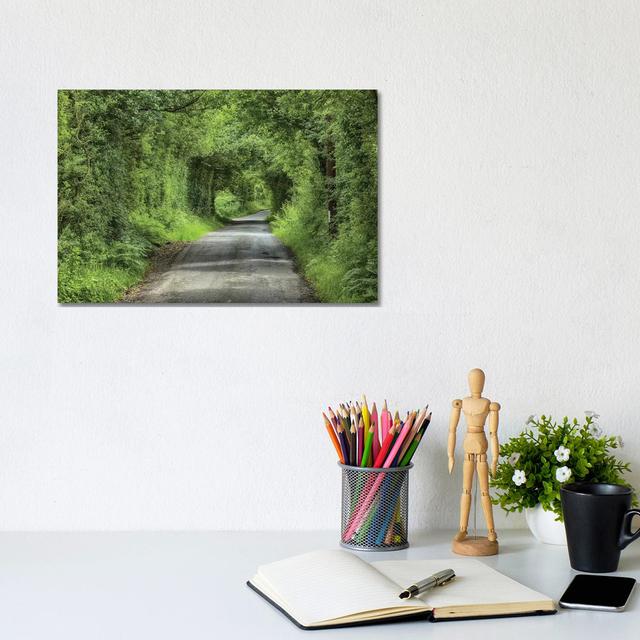 Country Lane And Trees, Chipping, Forest Of Bowland, Lancashire, England, July by John Eveson - Wrapped Canvas Art Prints Alpen Home Size: 20.32cm H x on Productcaster.