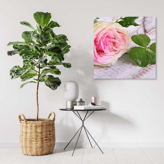 Leinwandbild Pink Rose Flower Nature Mercer41 Größe: 60 cm H x 60 cm B x 2 cm T on Productcaster.