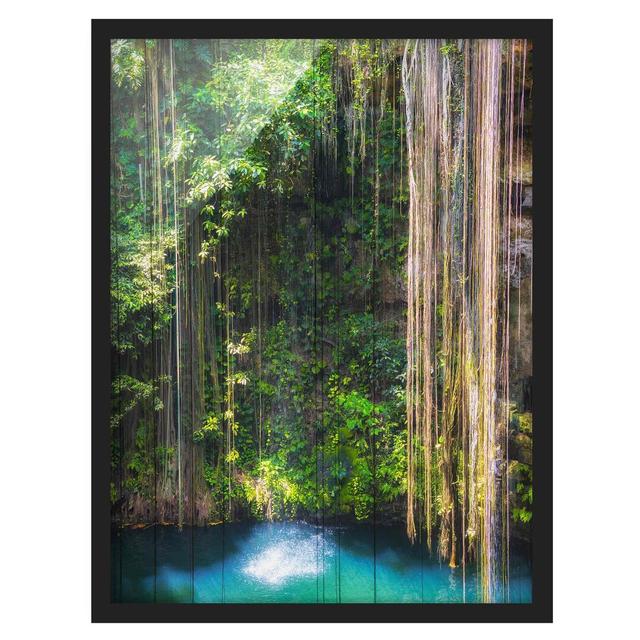 Hanging Roots From Ik-Kil Cenote - Picture Frame Graphic Art Union Rustic Frame Option: Black Framed, Size: 70cm H x 50cm W x 2cm D on Productcaster.