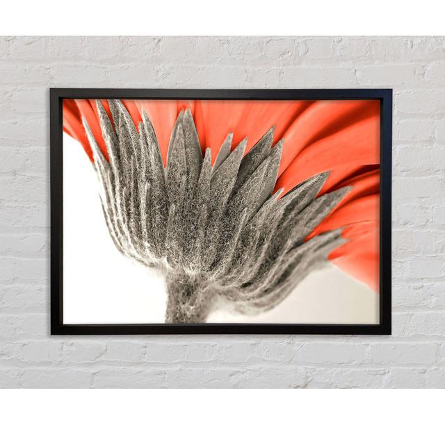 Underside View Of A Daisy Framed Print Ebern Designs Size: 59.7cm H x 84.1cm W x 3.3cm D on Productcaster.