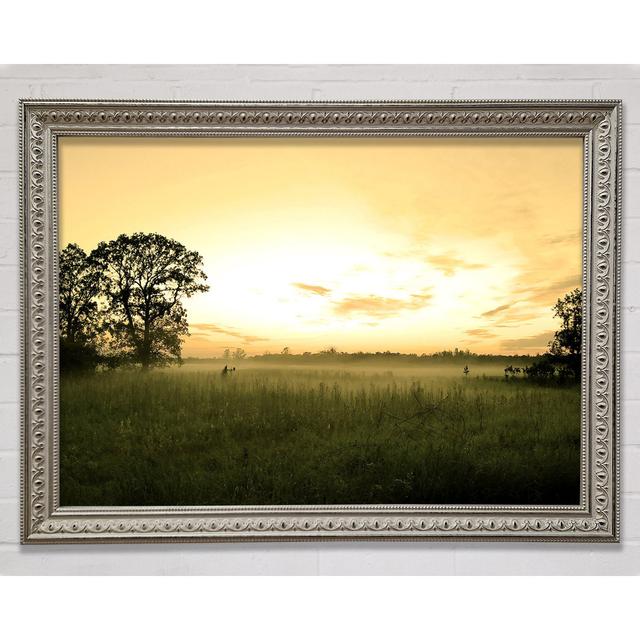 Summer Morning Mist Framed Print Bright Star Size: 42cm H x 59.7cm W on Productcaster.