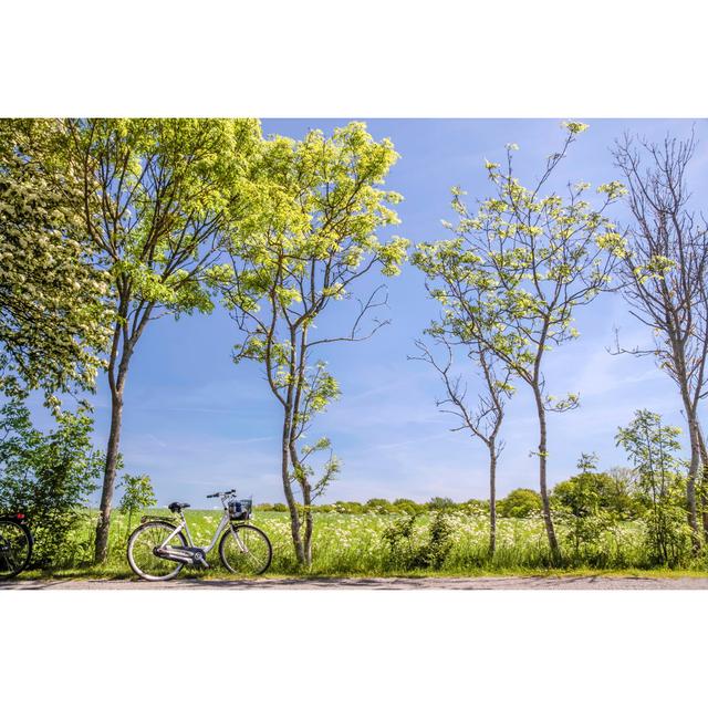 Spring Trees with Bicycle by Unknown - Wrapped Canvas Photograph Alpen Home Size: 51cm H x 76cm W on Productcaster.