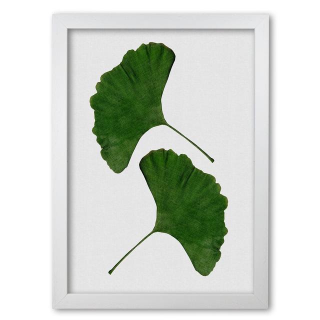 Ginkgo Leaf II - Print East Urban Home Size: 60 cm H x 42 cm W x 5 cm D, Format: White Grain Frame on Productcaster.