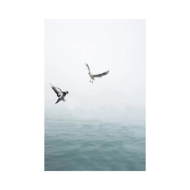 Seagulls Flying over The Ocean by Karen Mandau - Wrapped Canvas Photograph House of Hampton Size: 30.48cm H x 20.32cm W x 1.91cm D on Productcaster.