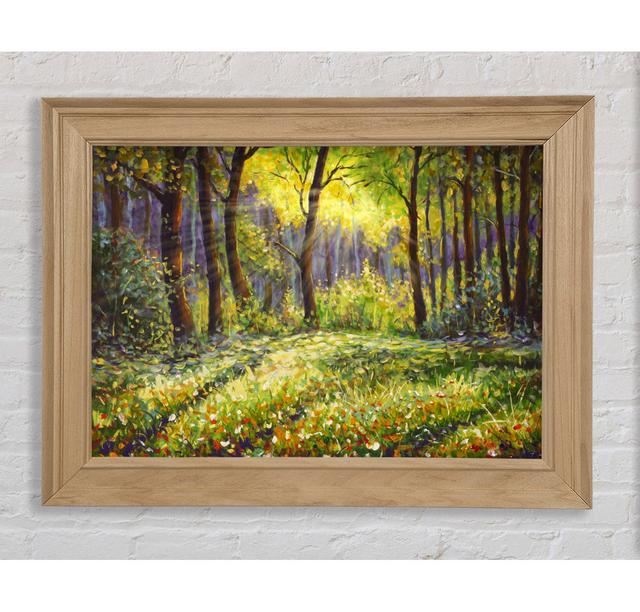 Sunshine Through the Woodlands - Bilderrahmen Kunstdrucke Bright Star Größe: 84,1 cm H x 142,2 cm B on Productcaster.