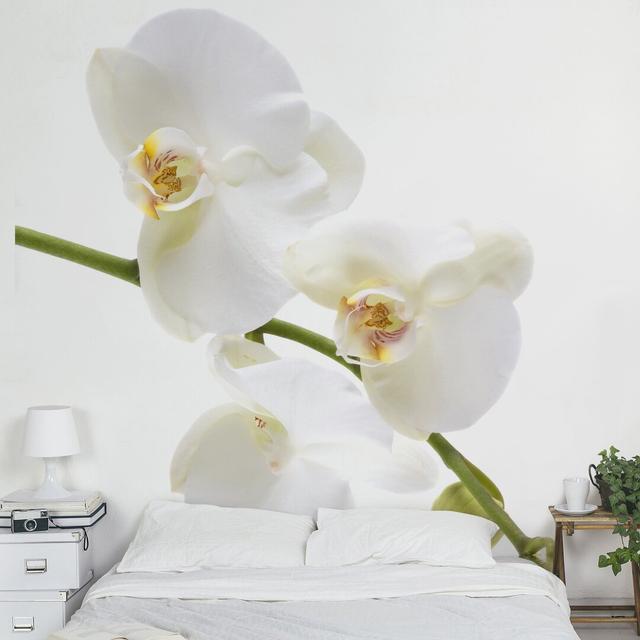 Shields White Orchid Waters 1.92m x 192cm Matte Wallpaper Roll Ebern Designs on Productcaster.