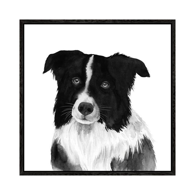 Border Collie II Ebern Designs Größe: 45,72 cm H x 45,72 cm B x 3,81 cm T, Format: Schattenfugenrahmen in Schwarz on Productcaster.