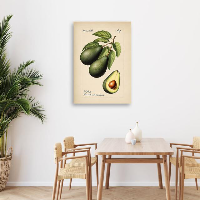 Leinwanddruck, Vintage Avocado Fruit - Leinwanddruck - Gewickelter Leinwanddruck Feeby Größe: 100 cm H x 70 cm B on Productcaster.