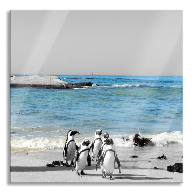 Glasbild Quadratisch | Wandbild Auf Echtglas | Lustige Pinguine Am Strand | Aufhängung Und Abstandshalter LQ5074 Haus am Meer Größe: 80 cm H x 80 cm B on Productcaster.