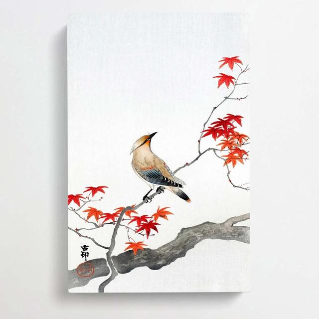 Bird upon a Maple Tree by Ohara Koson - Wrapped Canvas Painting Print East Urban Home Size: 76cm H x 50cm W x 3cm D on Productcaster.