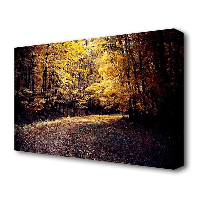 Forest Road Forest - Wrapped Canvas Photograph Print East Urban Home Size: 66cm H x 101.6cm W x 4.4cm D on Productcaster.