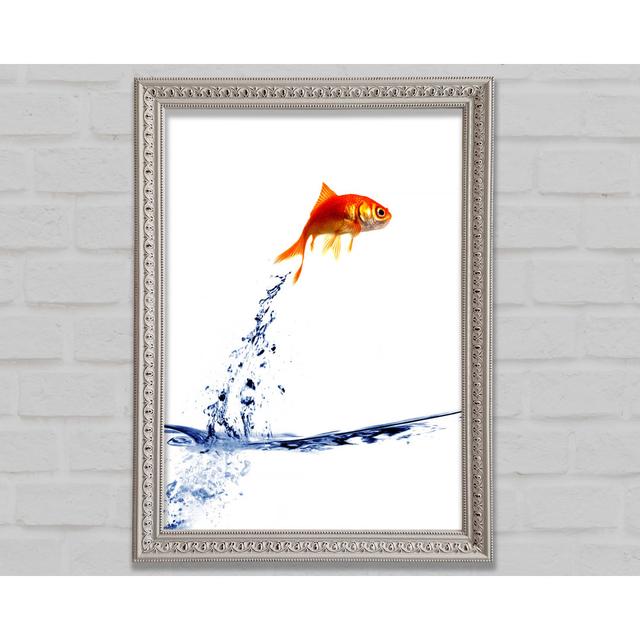 Jumping Goldfish - Print Bright Star Size: 118.1cm H x 84.1cm W on Productcaster.