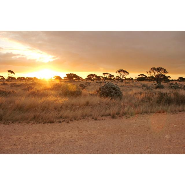 Evening Time in Nullarbor by Totajla - Wrapped Canvas Photograph 17 Stories Size: 81cm H x 122cm W on Productcaster.