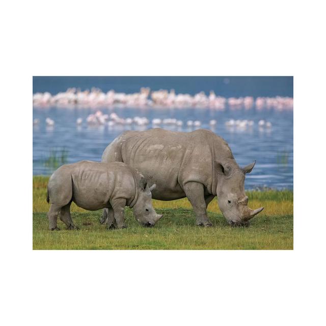 White Rhinoceros Mother And Juvenile Grazing, Lake Nakuru, Kenya by Ingo Arndt - Wrapped Canvas Print Latitude Run Size: 30.48cm H x 45.72cm W x 1.91c on Productcaster.