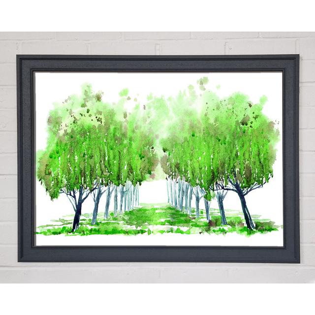 Green Tree Walk - Single Picture Frame Art Prints ClassicLiving Size: 42cm H x 59.7cm W x 1.5cm D on Productcaster.