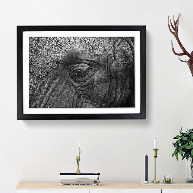 Elephant - Picture Frame Graphic Art Print East Urban Home Size: 27cm H x 36cm W x 2cm D, Frame Option: Black Framed on Productcaster.