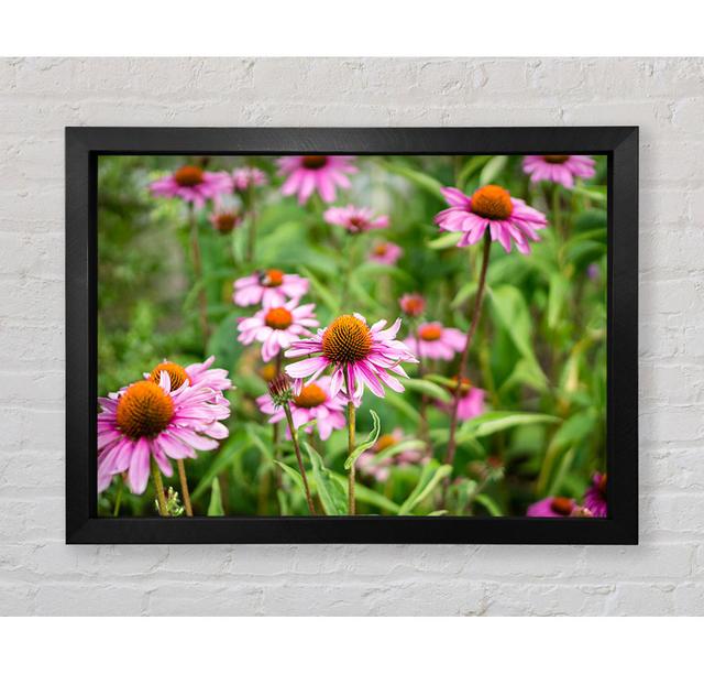 Pink Flowers Down Below In The Grass - Single Picture Frame Art Prints Bright Star Size: 100cm H x 141.4cm W x 3.4cm D on Productcaster.