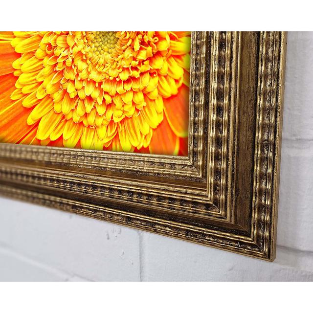 Orange Yellow Gerbera Face - Print Ebern Designs Size: 59.7cm H x 84.1cm W x 3cm D on Productcaster.