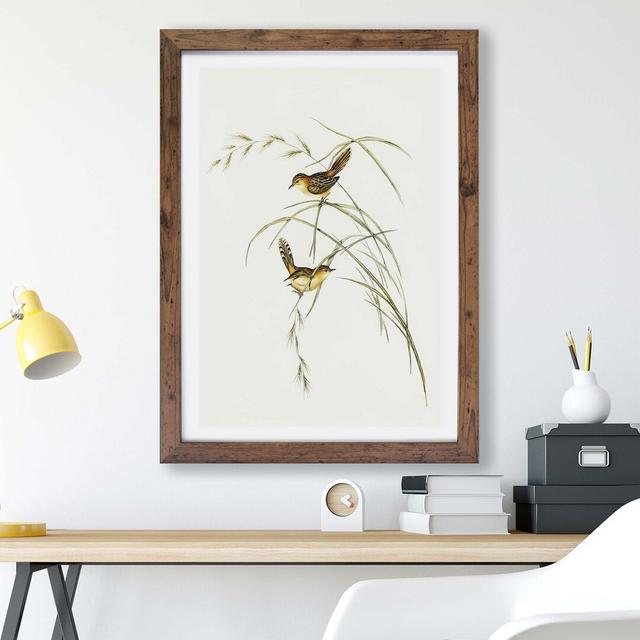 'Exile Warbler' by Elizabeth Gould - Picture Frame Painting Print on Paper East Urban Home Frame Option: Walnut, Size: 33cm H x 45cm W x 2cm D on Productcaster.