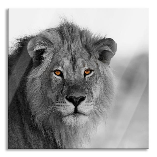 Portrait Of A Lion In The Savannah - No Frame Print on Glass Brayden Studio Size: 70cm H x 70cm W x 0.4cm D on Productcaster.