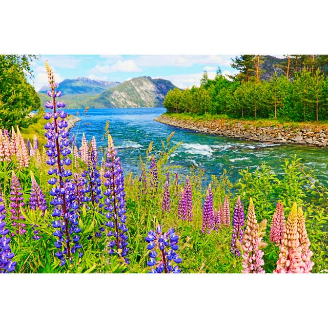 Lupins Flower Flowerbed by Agustavop - Wrapped Canvas Art Prints Alpen Home Size: 81cm H x 122cm W x 3.8cm D on Productcaster.