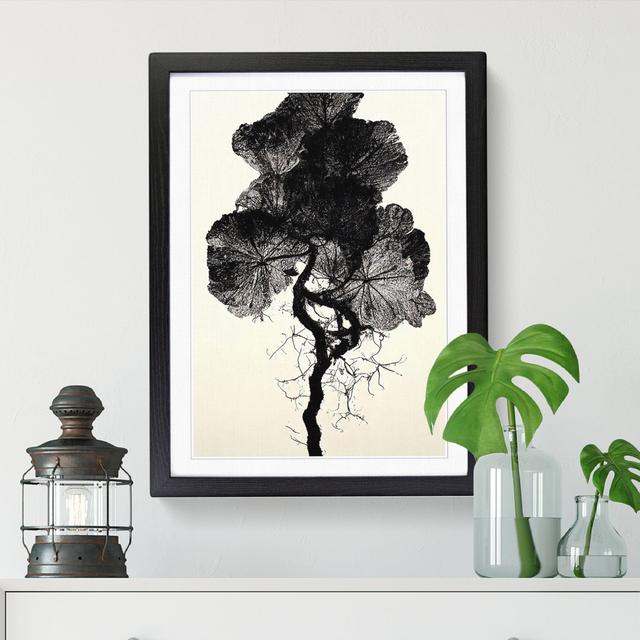 Pear Tree Shadow Vol.3 - Single Picture Frame Print Metro Lane Size: 64cm H x 46cm W x 2cm D, Frame Option: Walnut on Productcaster.