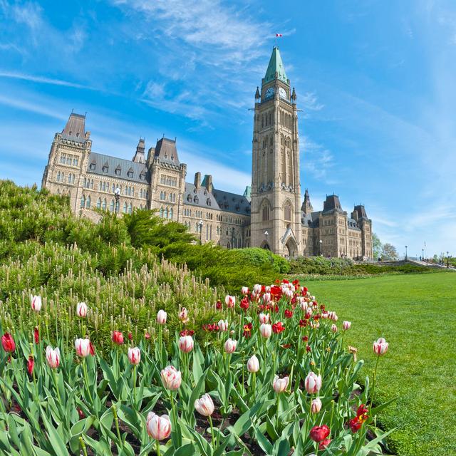 Nika Parliament Hill, Ottawa - Print Latitude Run Size: 51cm H x 51cm W x 3.8cm D on Productcaster.