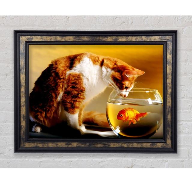 Cats Dinner Time - Print Bright Star Size: 29.7cm H x 42cm W on Productcaster.