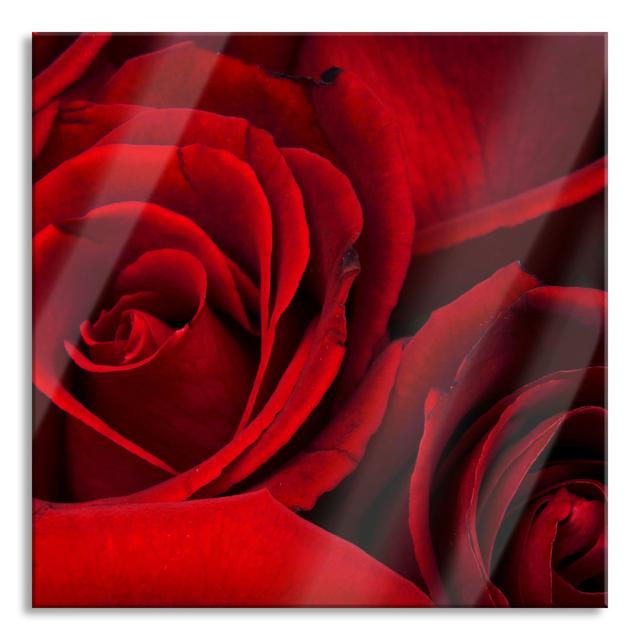 Red Roses - Unframed Photograph on Glass Brayden Studio Size: 60cm H x 60cm W x 0.4cm D on Productcaster.