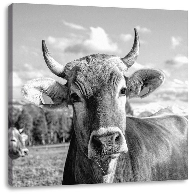 Leinwandbild Curious Cow on Pasture in Allgäu Brambly Cottage Größe: 40 cm H x 40 cm B x 1,8 cm T on Productcaster.