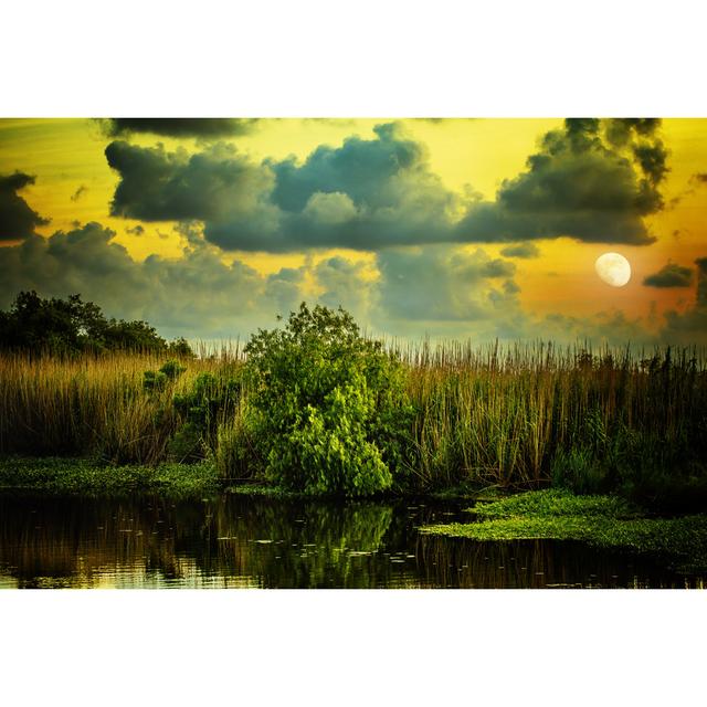 Goodnight, Louisiana by Va103 - Wrapped Canvas Print Ebern Designs Size: 51cm H x 76cm W x 3.8cm D on Productcaster.