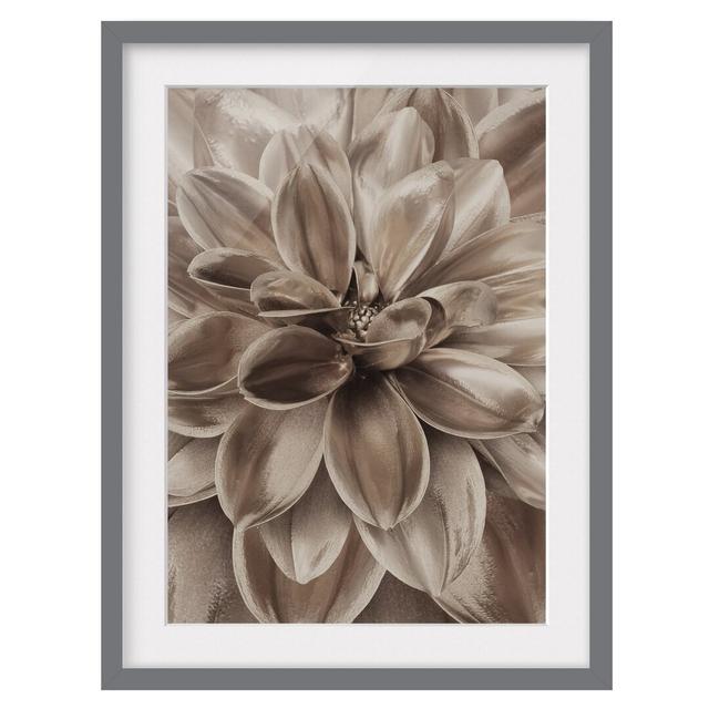 Bronze Dahlia Dream - Picture Frame Graphic Art Ebern Designs Frame Option: Grey Framed, Size: 70cm H x 50cm W x 2cm D on Productcaster.