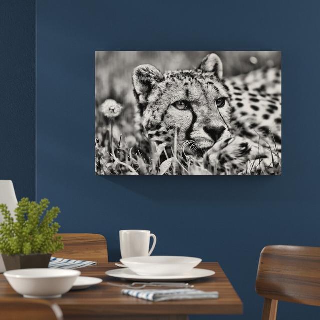 Leinwandbild Gepard im Gras in Monochrom East Urban Home Größe: 60 cm H x 80 cm B on Productcaster.