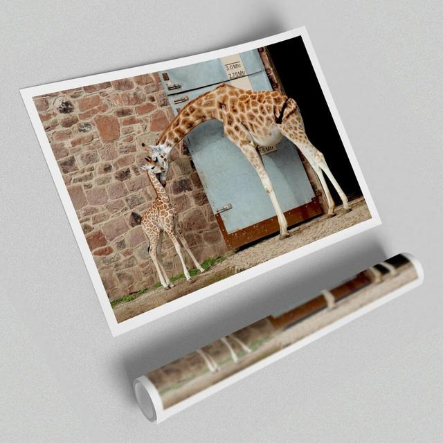 'Giraffe Motherly Love' - Unframed Photograph East Urban Home Size: 42cm H x 59.4cm W on Productcaster.