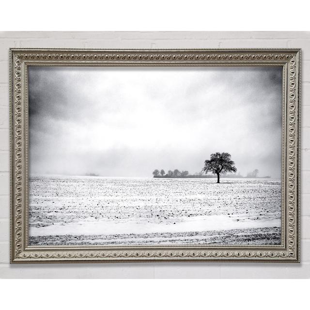 Empty Field Winter Framed Print Bright Star Size: 21cm H x 29.7cm W on Productcaster.