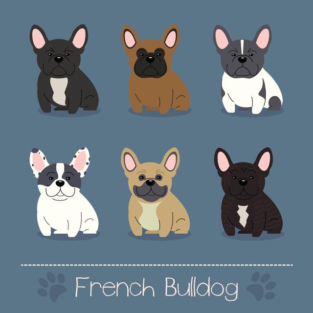 Different French Bulldog by Ma-lina - Wrapped Canvas Print Zoomie Kids Size: 30cm H x 30cm W on Productcaster.