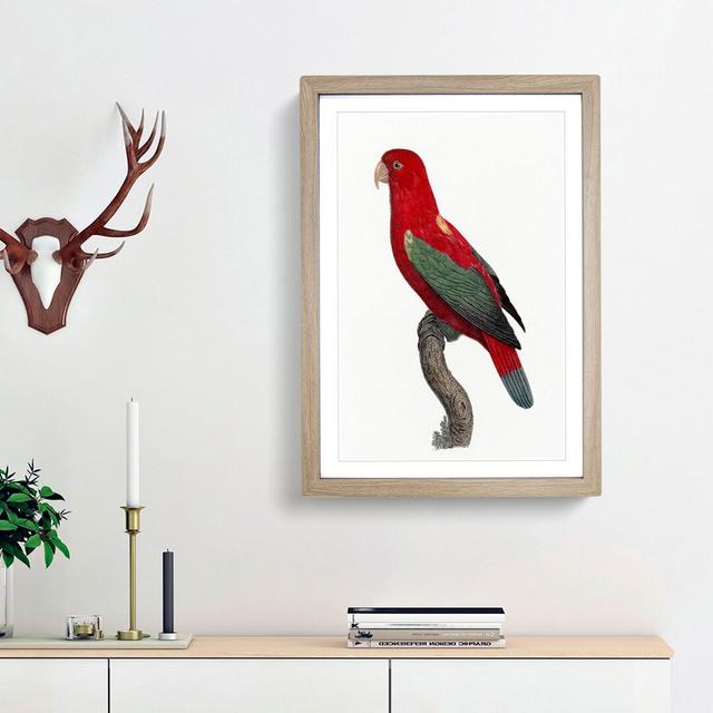 Chattering Lory by F. Levaillant - Picture Frame Painting Print East Urban Home Frame Option: Oak Framed, Size: 65cm H x 48cm W x 2cm D on Productcaster.