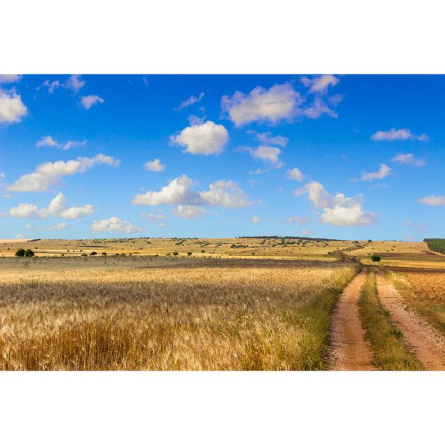 Field Of Wheat by Vololibero - Wrapped Canvas Print 17 Stories Size: 51cm H x 76cm W x 3.8cm D on Productcaster.