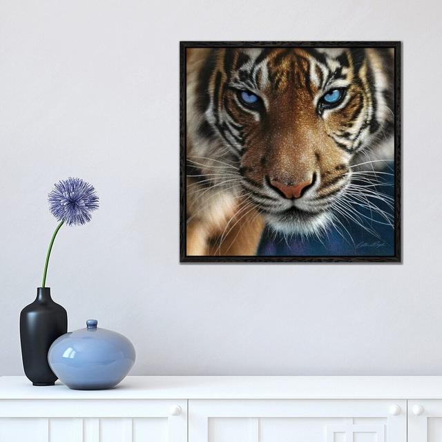 Tiger - Blue Eyes by Collin Bogle - Print on Canvas World Menagerie Format: Black Framed Canvas, Size: 45.72cm H x 45.72cm W x 3.81cm D on Productcaster.