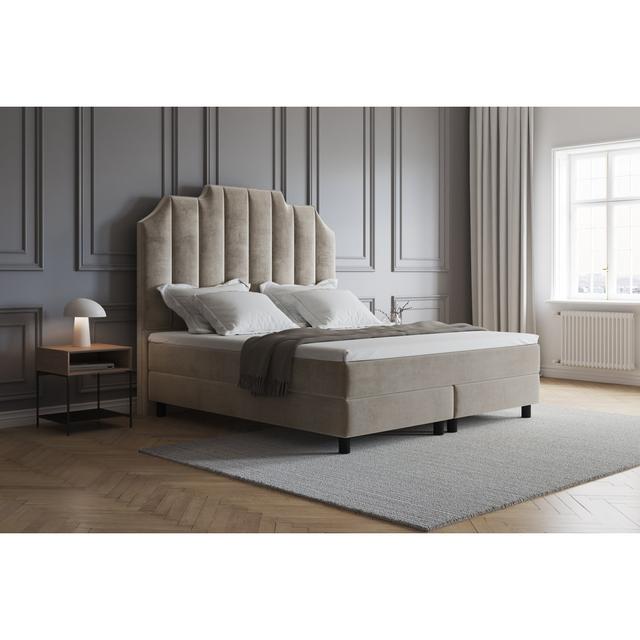 Echtes Boxspringbett Adelline mit Premium Visco Topper, mit Samtstoff bezogen Canora Grey Farbe: Helles Beige, Matratzenhärte: H2 - bis etwa 75 kg, Gr on Productcaster.