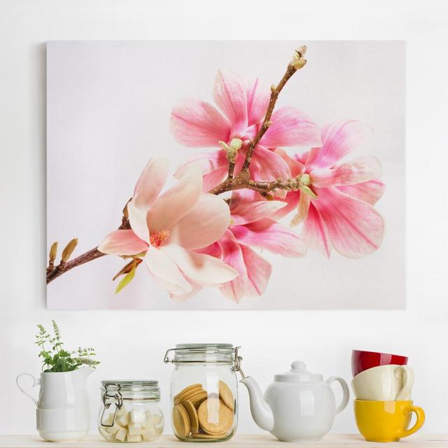 Magnolia Blossoms - Wrapped Canvas Photograph Ebern Designs Size: 30cm H x 40cm W on Productcaster.