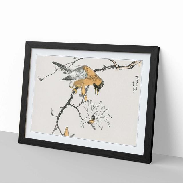 Tibetan Hoopoe Bird by Numata Kashu - Picture Frame Painting Print East Urban Home Frame Option: Black, Size: 40cm H x 60cm W x 2cm D on Productcaster.