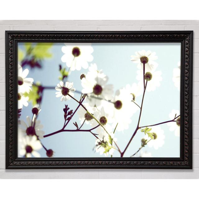 Silver Summer Flowers - Single Picture Frame Art Prints Bright Star Size: 29.7cm H x 42cm W on Productcaster.