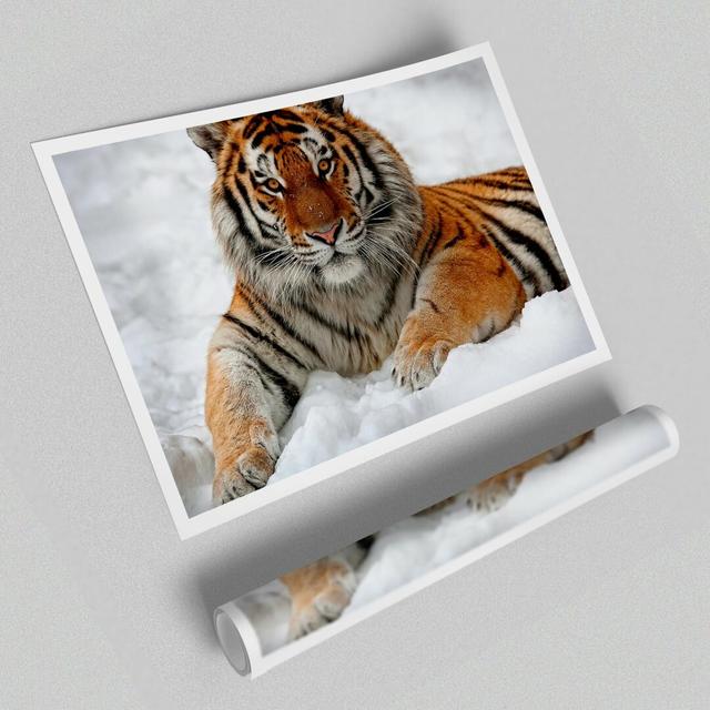 Tiger in Snow - Graphic Art Print on Paper East Urban Home Size: 42 cm H x 59.4 cm W on Productcaster.