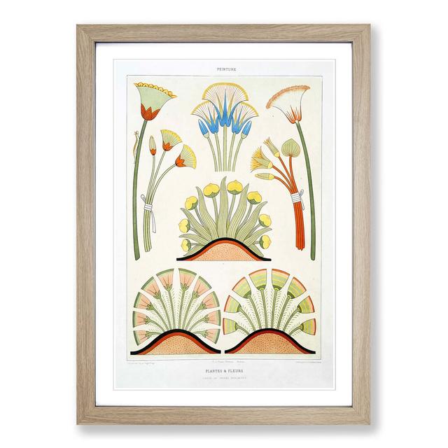 Plants & Flowers by Emile Prisse D'avennes - Picture Frame Painting Print East Urban Home Frame Option: Oak, Size: 50cm H x 35cm W x 2cm D on Productcaster.