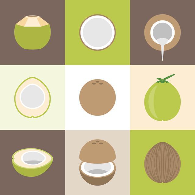 Coconut Icons Set by Lukpedclub - Wrapped Canvas Photograph Brambly Cottage Size: 91cm H x 91cm W on Productcaster.