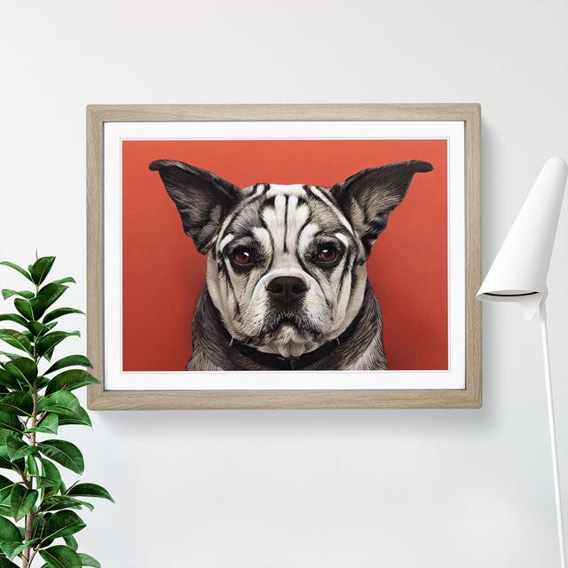 Dog Vol.5 - Single Picture Frame Print Marlow Home Co. Size: 25cm H x 34cm W x 2cm D, Frame Colour: Oak on Productcaster.